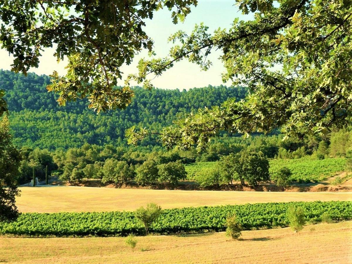 Le Mas Serenite Ansouis Exterior foto